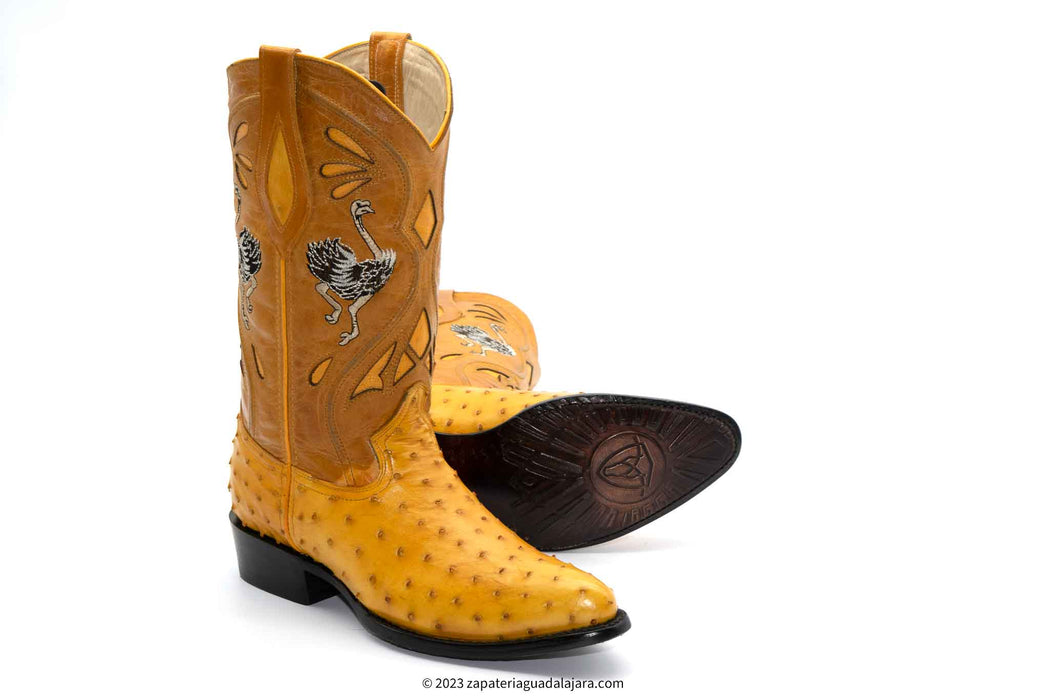 JB903 J-TOE FULL QUILL OSTRICH BUTTERCUP | Genuine Leather Vaquero Boots and Cowboy Hats | Zapateria Guadalajara | Authentic Mexican Western Wear