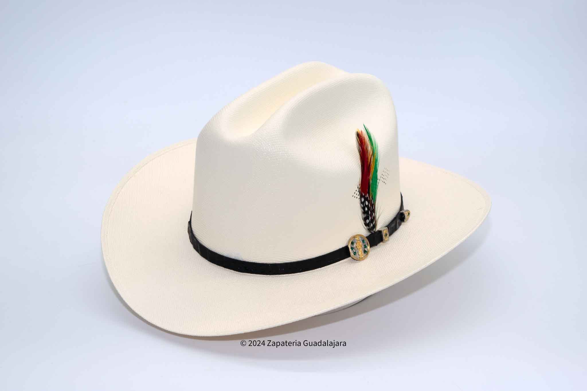 1000X TELAR CHAPARRAL SINALOA SAN JUDAS 3