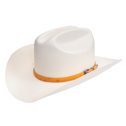 Cuernos Chuecos 500x Chaparral Straw Hat Buttercup | Genuine Leather Vaquero Boots and Cowboy Hats | Zapateria Guadalajara | Authentic Mexican Western Wear
