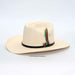Beige cowboy hat with a decorative band with a rooster and feather on a white background