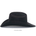 Black cowboy hat on a white background