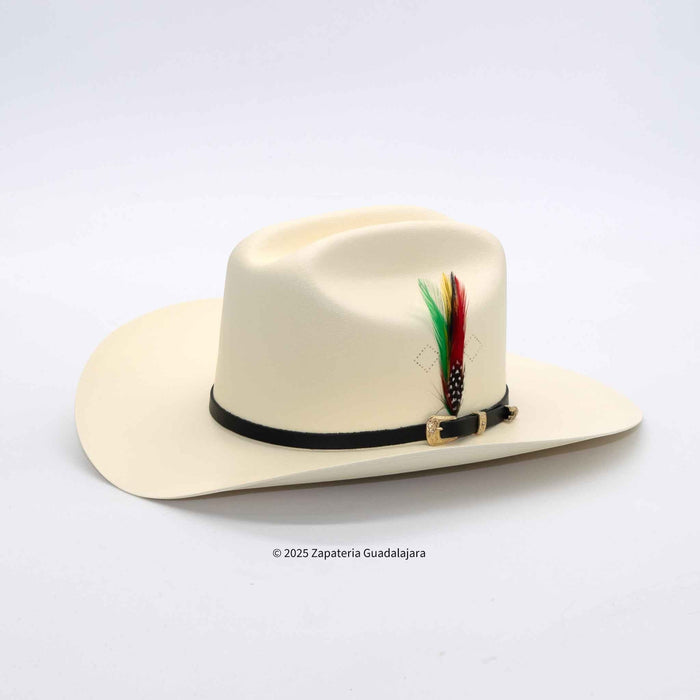 White cowboy hat with a black band and colorful feathers on a white background