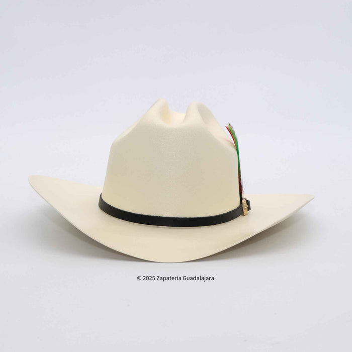 White cowboy hat with a black band on a light gray background