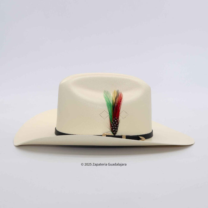 Beige cowboy hat with feather detail on a light gray background