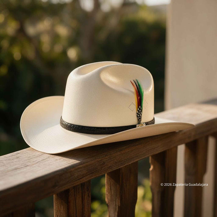 A cream-colored cowboy hat with a black band and a green, red, and black feather accent, resting on a wooden balcony railing with a blurred outdoor background.