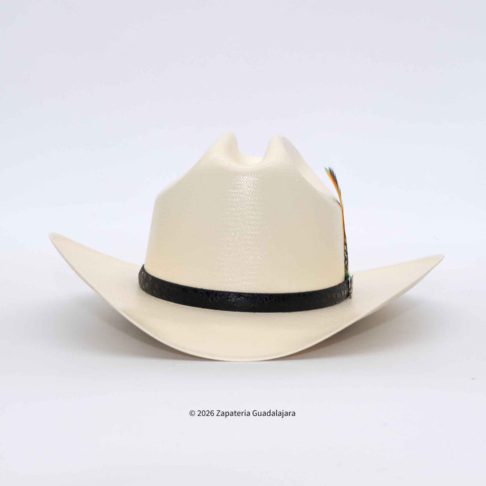 An off-white cowboy hat with a black band and a small multicolor feather accent, photographed on a light gray background.