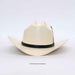 An off-white cowboy hat with a black band and a small multicolor feather accent, photographed on a light gray background.