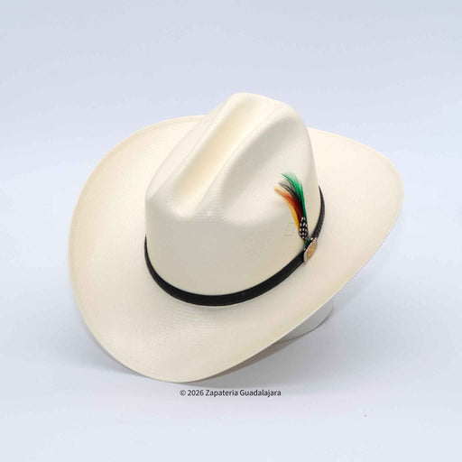 An off-white cowboy hat with a black band and a decorative feather accent, displayed on a light gray background.