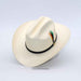 An off-white cowboy hat with a black band and a decorative feather accent, displayed on a light gray background.