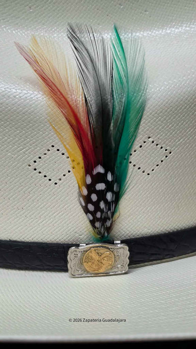 A close-up of a white cowboy hat featuring a black band with a decorative silver-toned coin buckle and a colorful feather accent in red, yellow, black, white, and green.