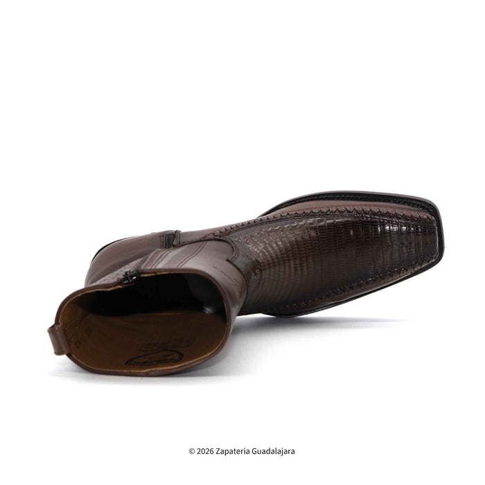 7 Toe Lizard Teju Faded Brown-257BFH0716