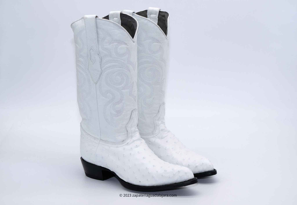 990328OSTRICHJ-TOEWHITE-