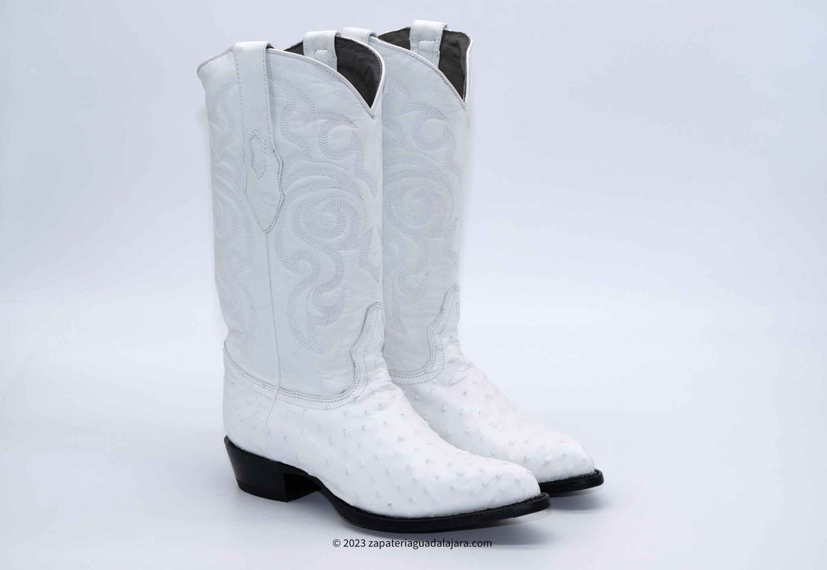 990328OSTRICHJ-TOEWHITE-