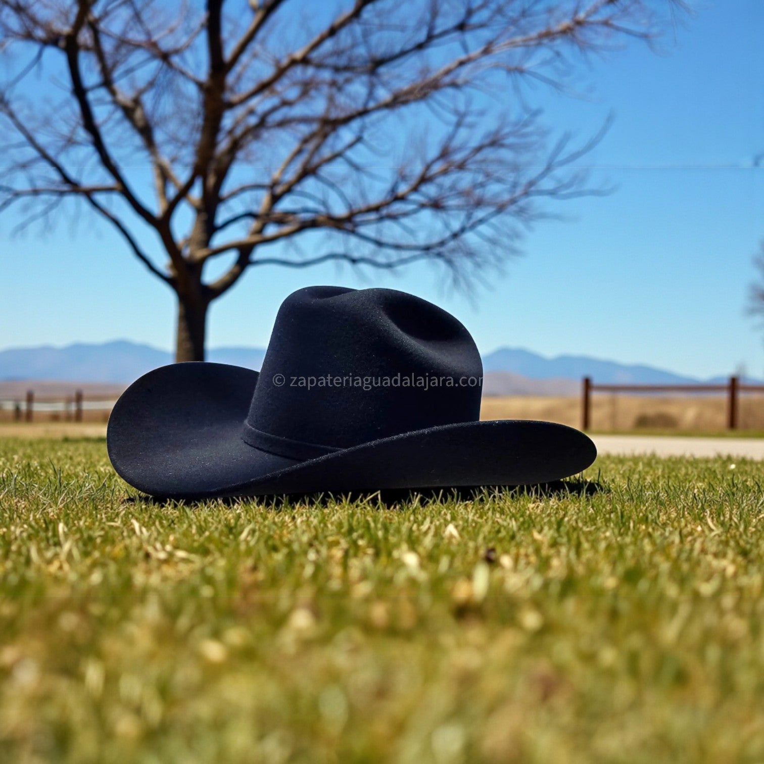 Cuernos Chuecos 6x Chaparral Black Wool Hat | Genuine Leather
