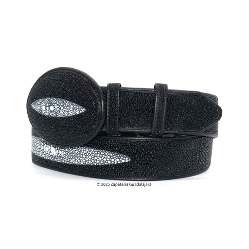 Black textured belt with a large round buckle on a white background
