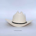 White cowboy hat with a black band on a light gray background