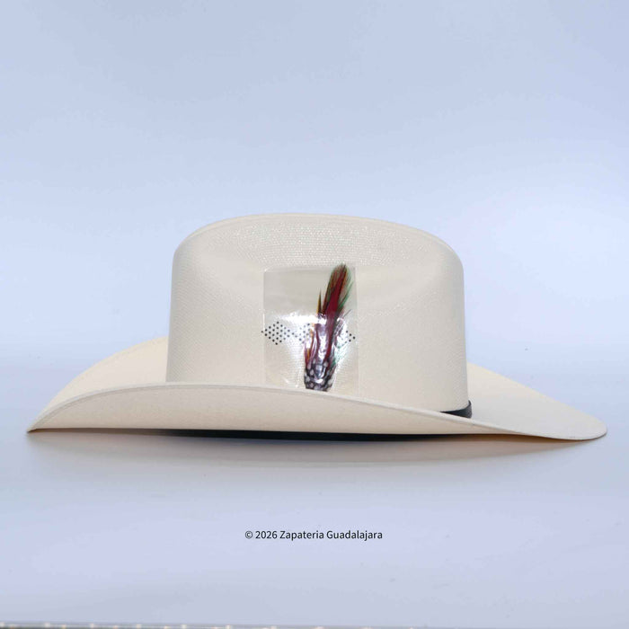 Beige cowboy hat with a feather on a light blue background