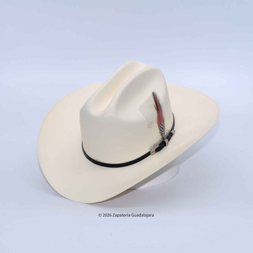 White cowboy hat with a black band and feather on a light gray background