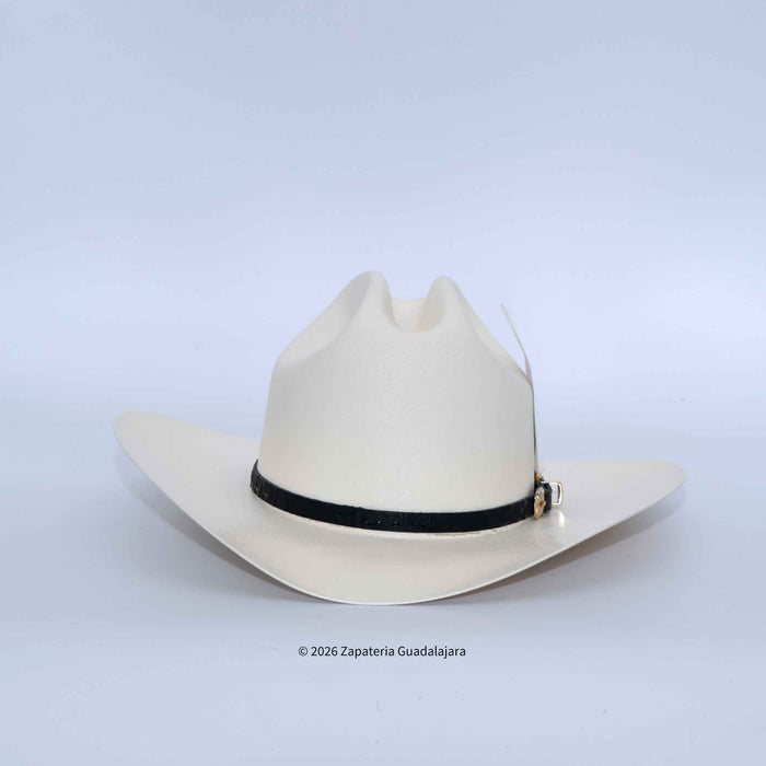 White cowboy hat with a black band on a light gray background