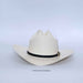 White cowboy hat with a black band on a light gray background