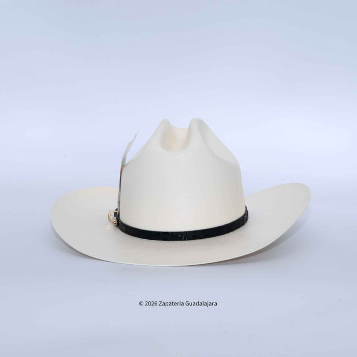 White cowboy hat with a black band on a light gray background