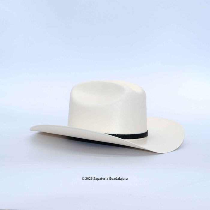 White cowboy hat with a black band on a light gray background