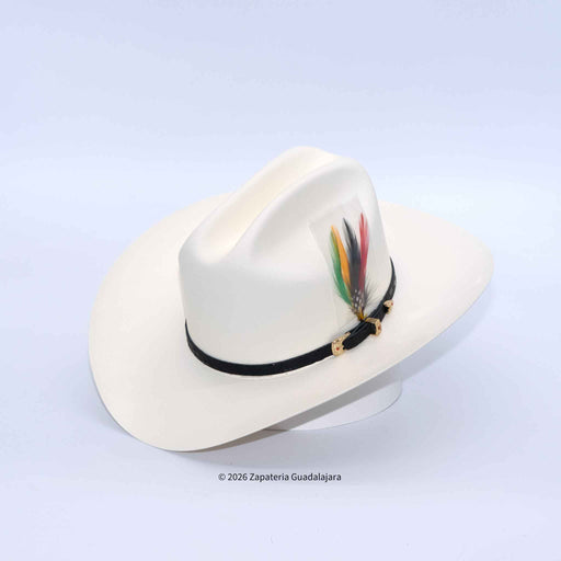 White cowboy hat with feather detail on a light gray background