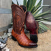 JB608 SNIP TOE CAIMAN BELLY FADED SHEDRON | Genuine Leather Vaquero Boots and Cowboy Hats | Zapateria Guadalajara | Authentic Mexican Western Wear