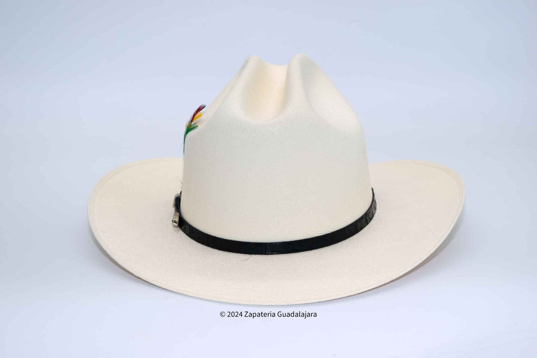 1000X TELAR CHAPARRAL SINALOA SAN JUDAS 3" BRIM LIMITED EDITION COWBOY HAT