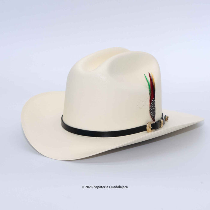 An off-white cowboy hat with a black band and a decorative feather accent, shown on a light gray background.