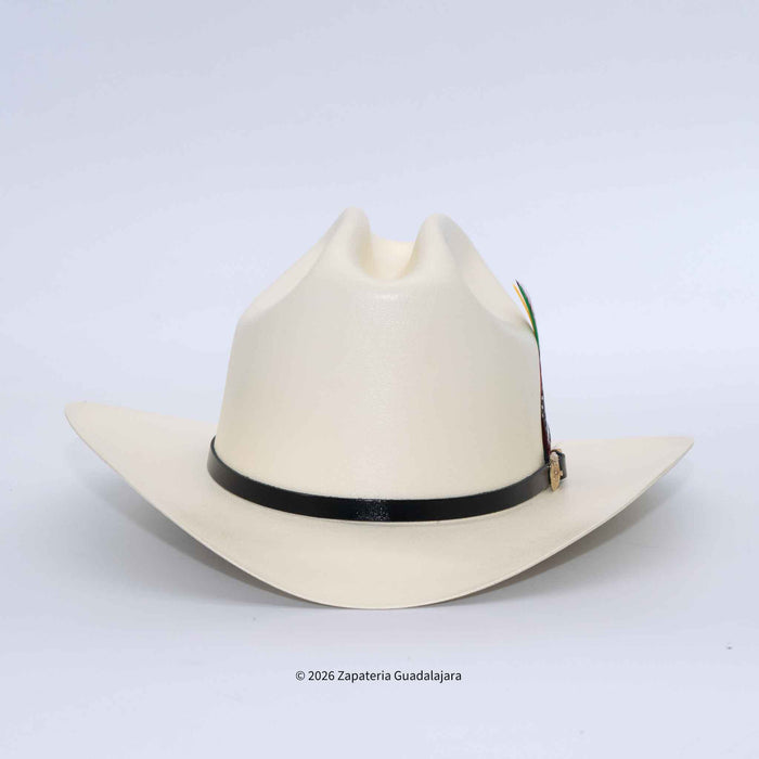 An off-white cowboy hat with a black band and a small green and gold feather accent, photographed on a light gray background.