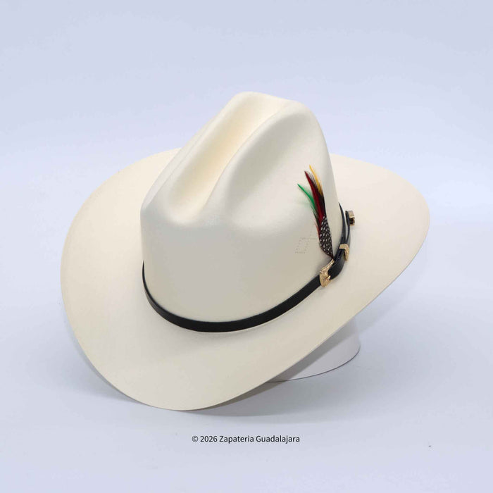 An off-white cowboy hat with a black band and decorative feathers, displayed on a white background.