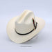 An off-white cowboy hat with a black band and decorative feathers, displayed on a white background.