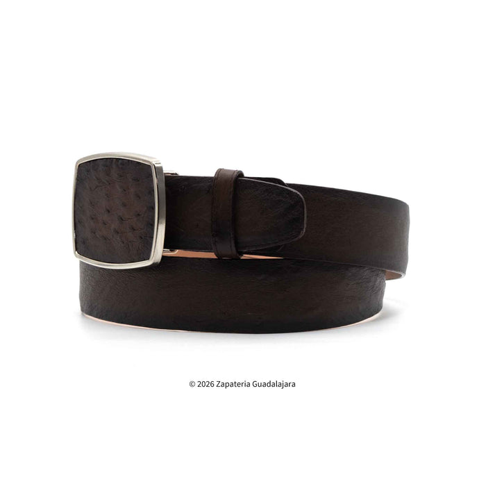A dark brown textured leather belt with a square silver-tone metal buckle, coiled on a white background.