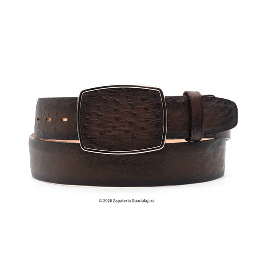 Brown smooth ostrich leather belt with a cast iron buckle