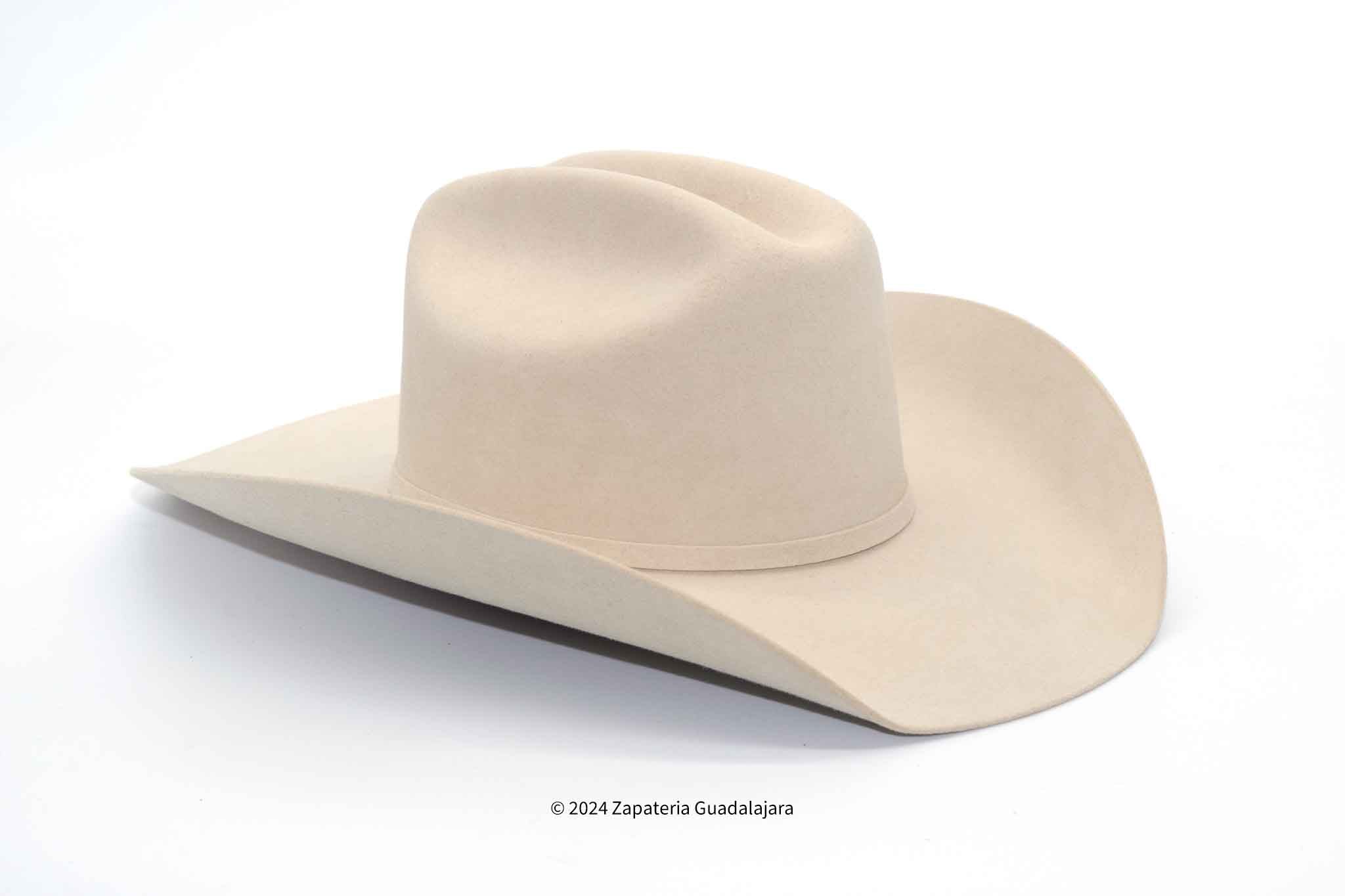 TENNESSEE 500X FUR FELT TEXAS SILVER BELLY HAT | Genuine Leather