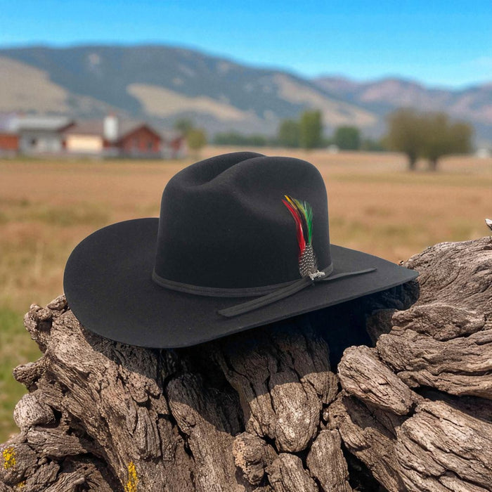 Tombstone 10x Chaparral Sinaloa Black Wool Hat