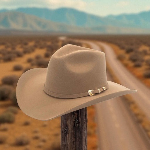 Tan cowboy hat on a wooden post with a desert landscape in the background