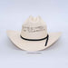 Beige cowboy hat with black band on a light gray background