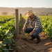 Man in a plaid shirt and cowboy hat tending to plants in a field.