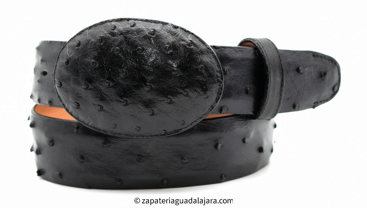Women Black Leather Ostrich Belt Large, Matching Round Covered Buckle  Classic B1118 - Black Vintage Ostrich and Tooled Leather Belt  main image 3